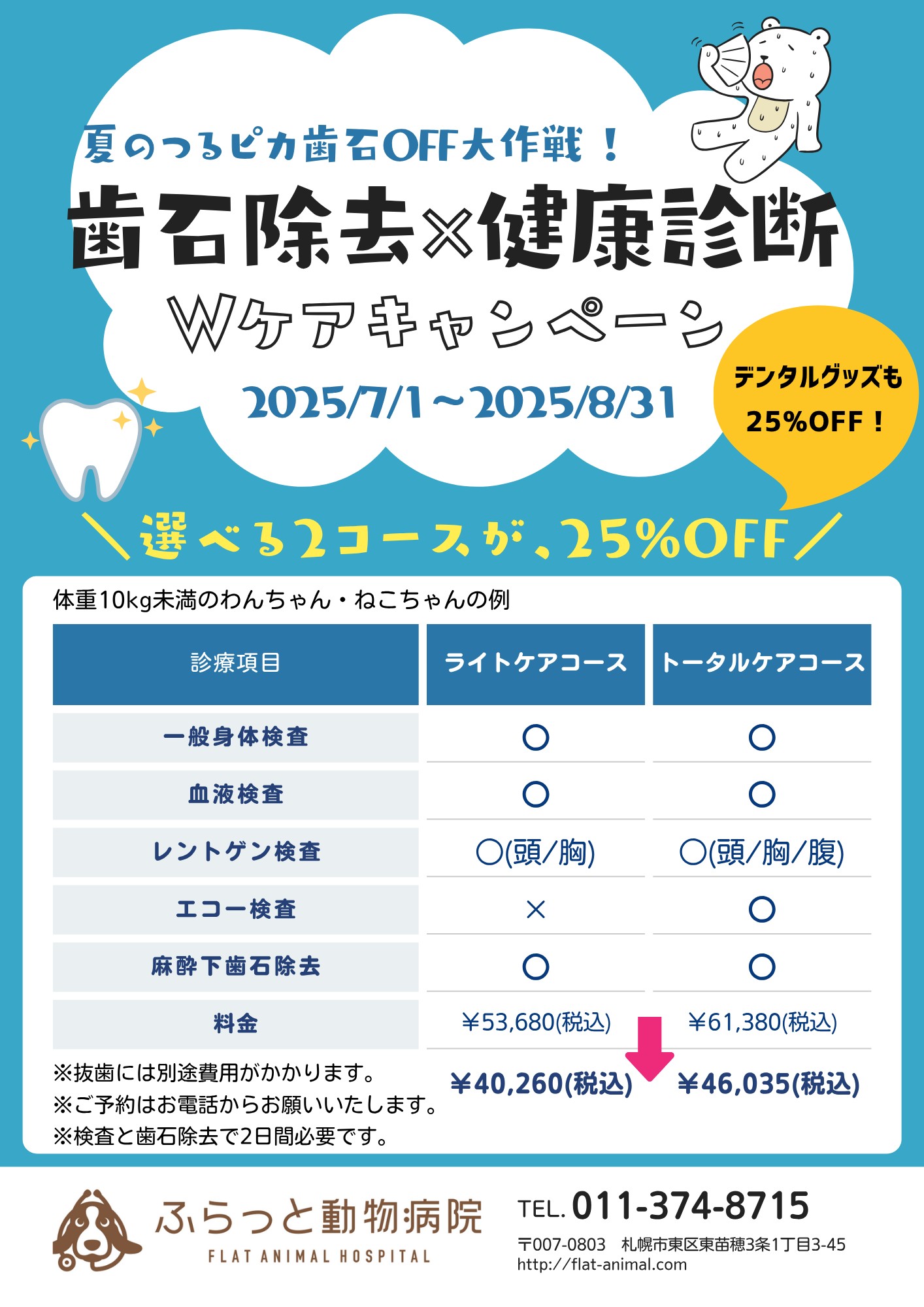 歯石除去×健康診断キャンペーンのご案内