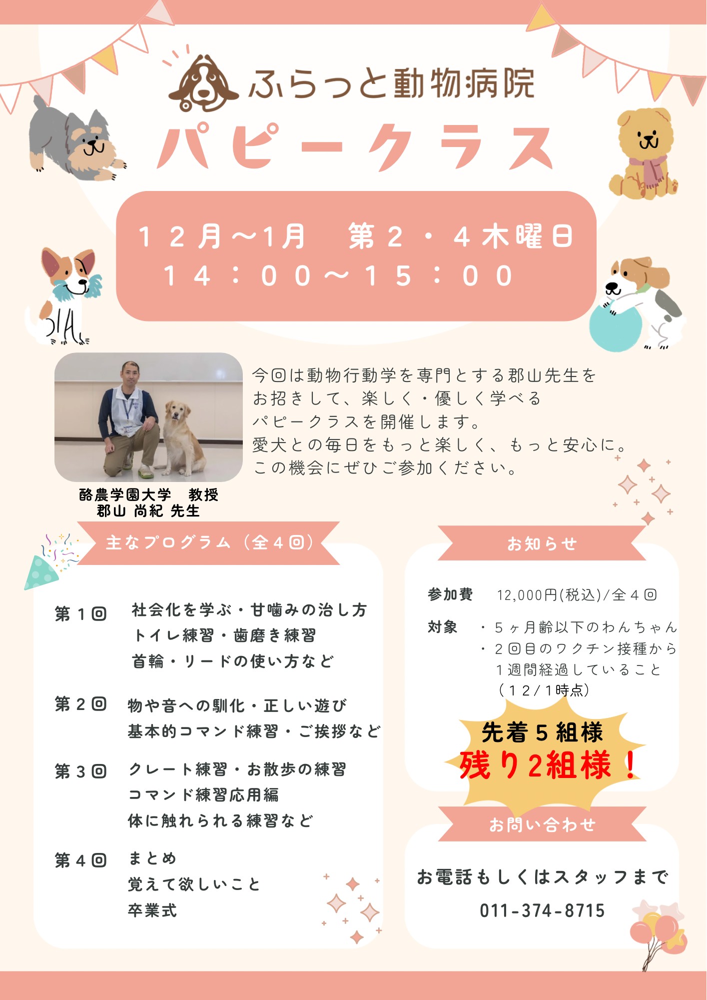 パピークラスのご案内